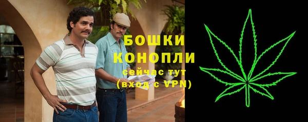 молекула духа Кинешма
