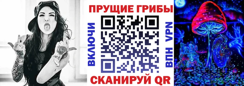 hydra ONION  Майский  Псилоцибиновые грибы GOLDEN TEACHER 